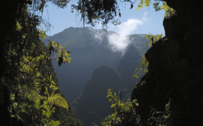 Madeira in motion: must-have experiences with BlueGreen