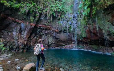 Madeira Island: a unique nature and a living dream