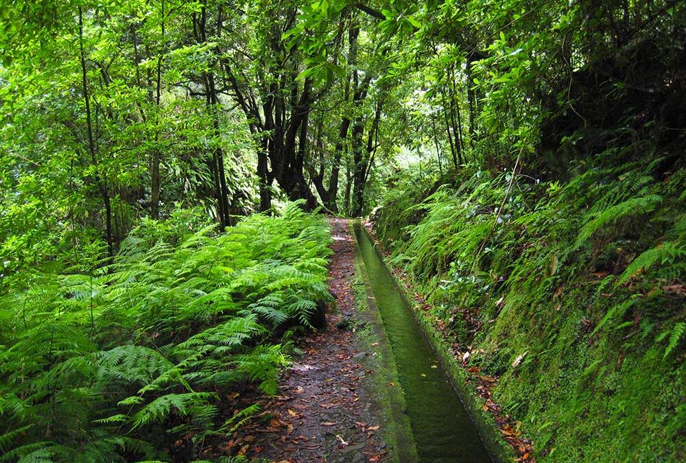 Walking Through History: The Levada Trails of Madeira